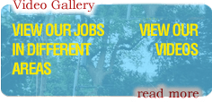 Video Gallery