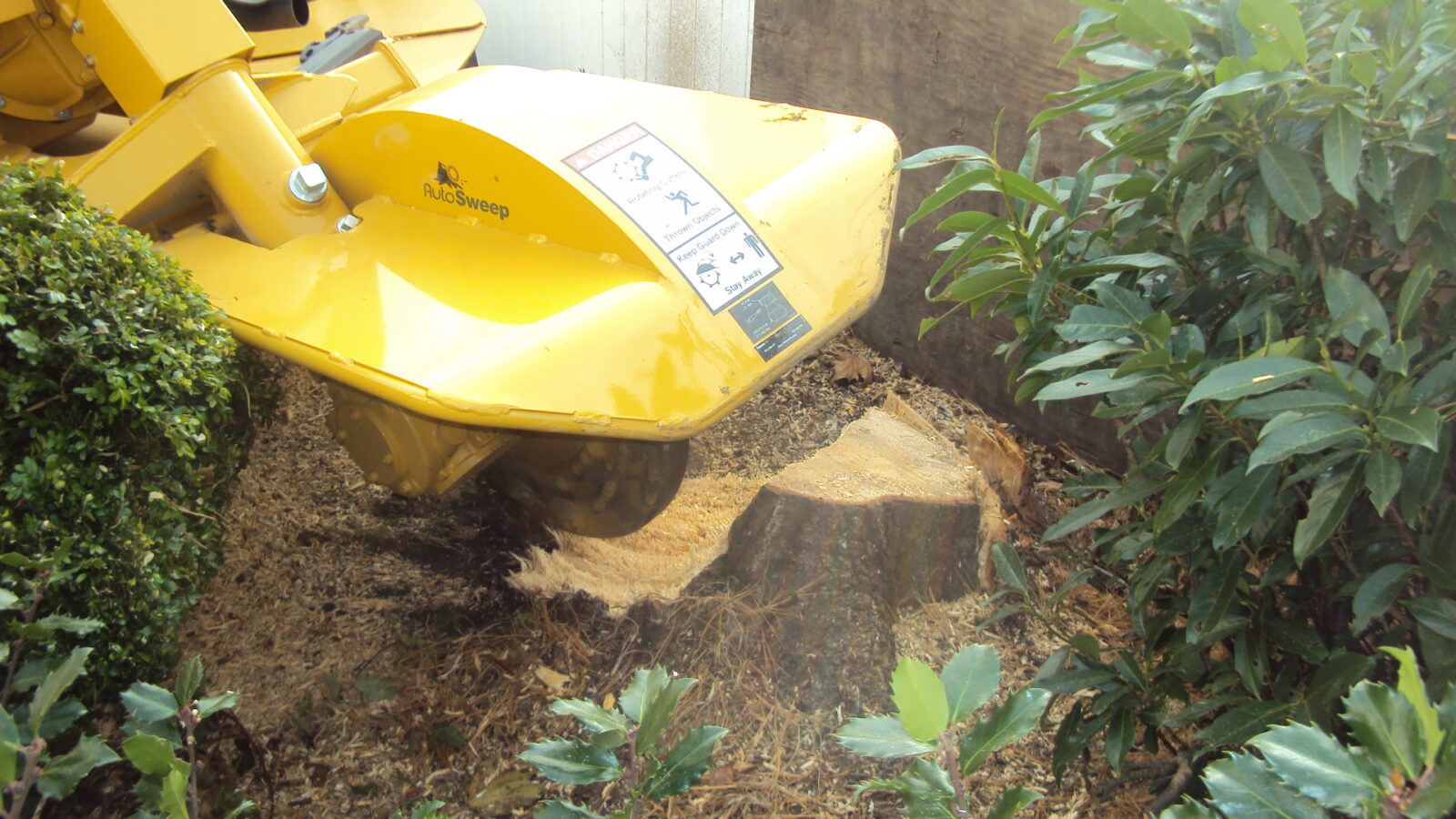 Tree stump removal services Nassau county New York 