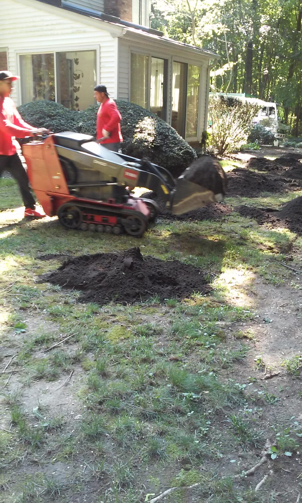 Tree cutting Services Nassau county - Tree Removal ...
