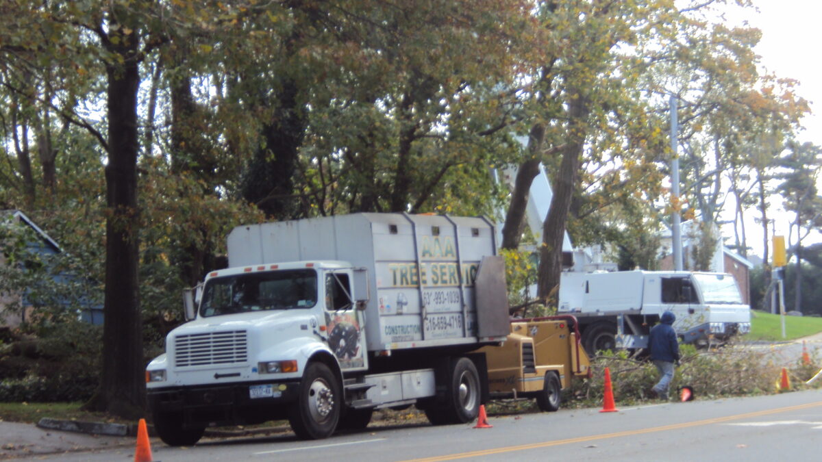 Tree removal services Long island NY Best tree services Local we Make Your looks like whit New clear View