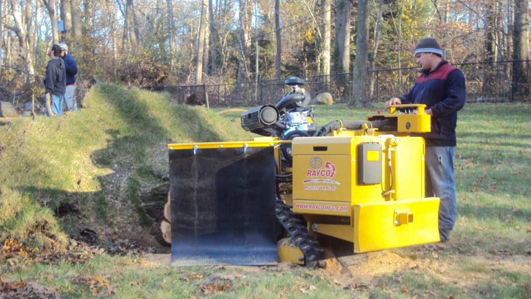 AAA Tree service Tree Removal Services Nassau County NY