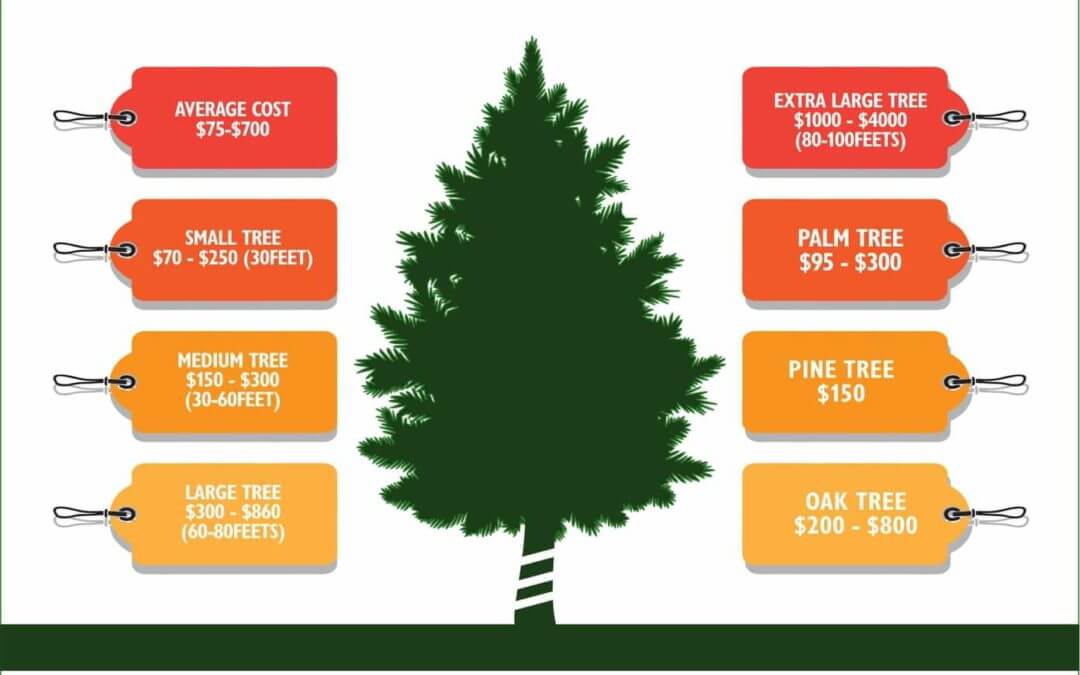 TREE REMOVAL COST AVERAGE TREE TRIMMING CUT DOWN TREE