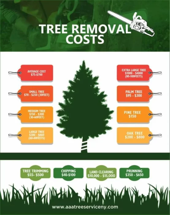 Tree removal cost is all about cost for Tree removal and Stump removal prices in near areas close to me
