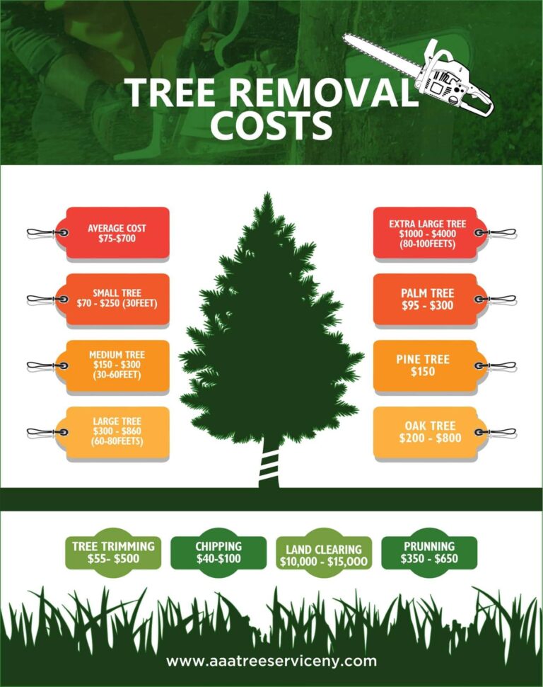 Tree Removal Cost Average Cost To Cut Down A Tree Cutting Service Cost 