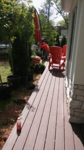We Do all Faces of Landscaping Tree planting Nassau county Tree cutting long island ,Tree removal queens tree choppers