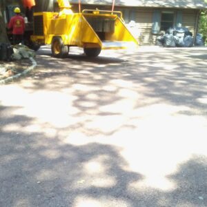Tree Chipping