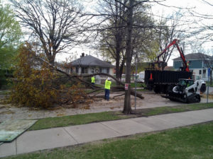 Storm Damage and Tree services