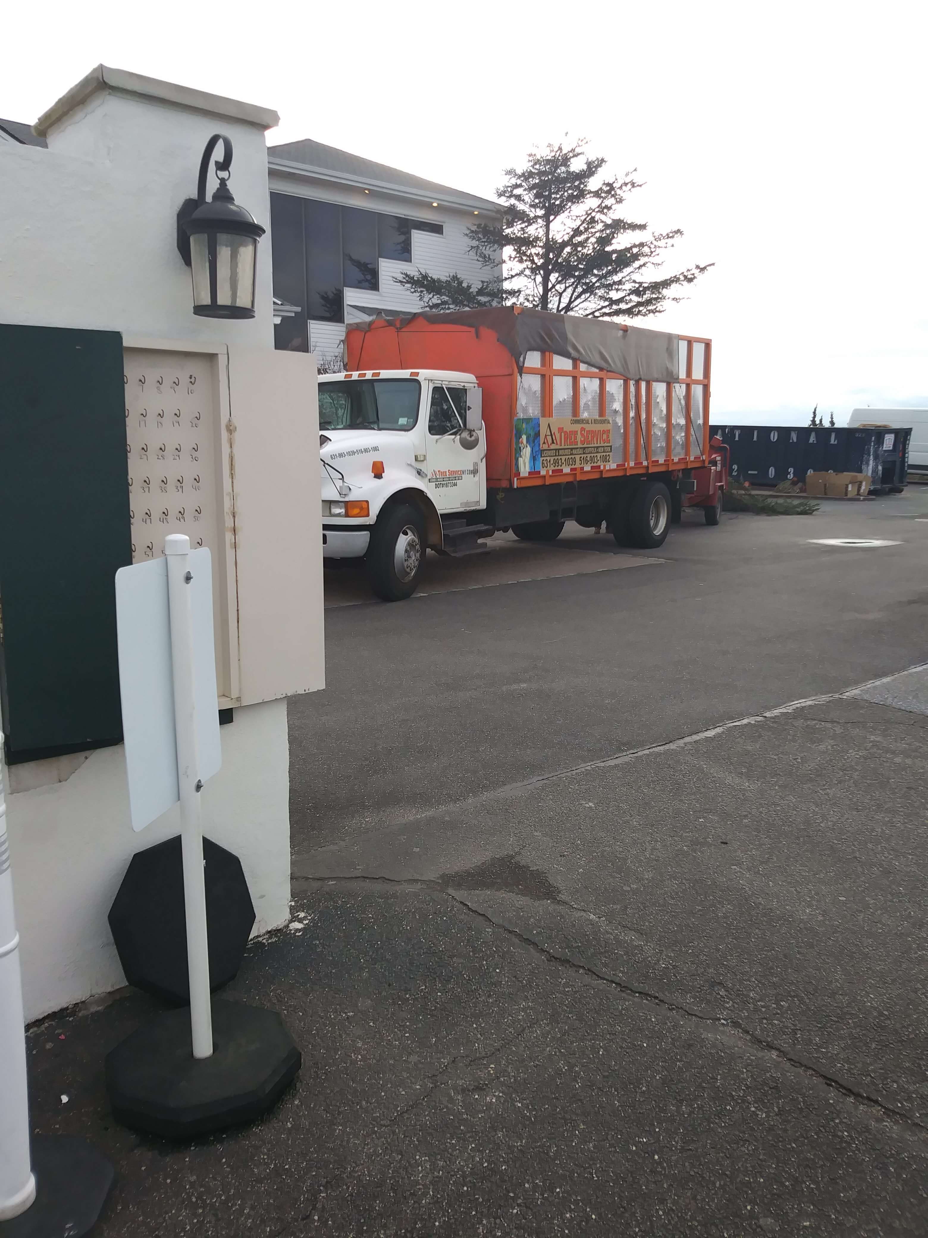 Tree pruning near me Tree Removal Services Nassau County NY