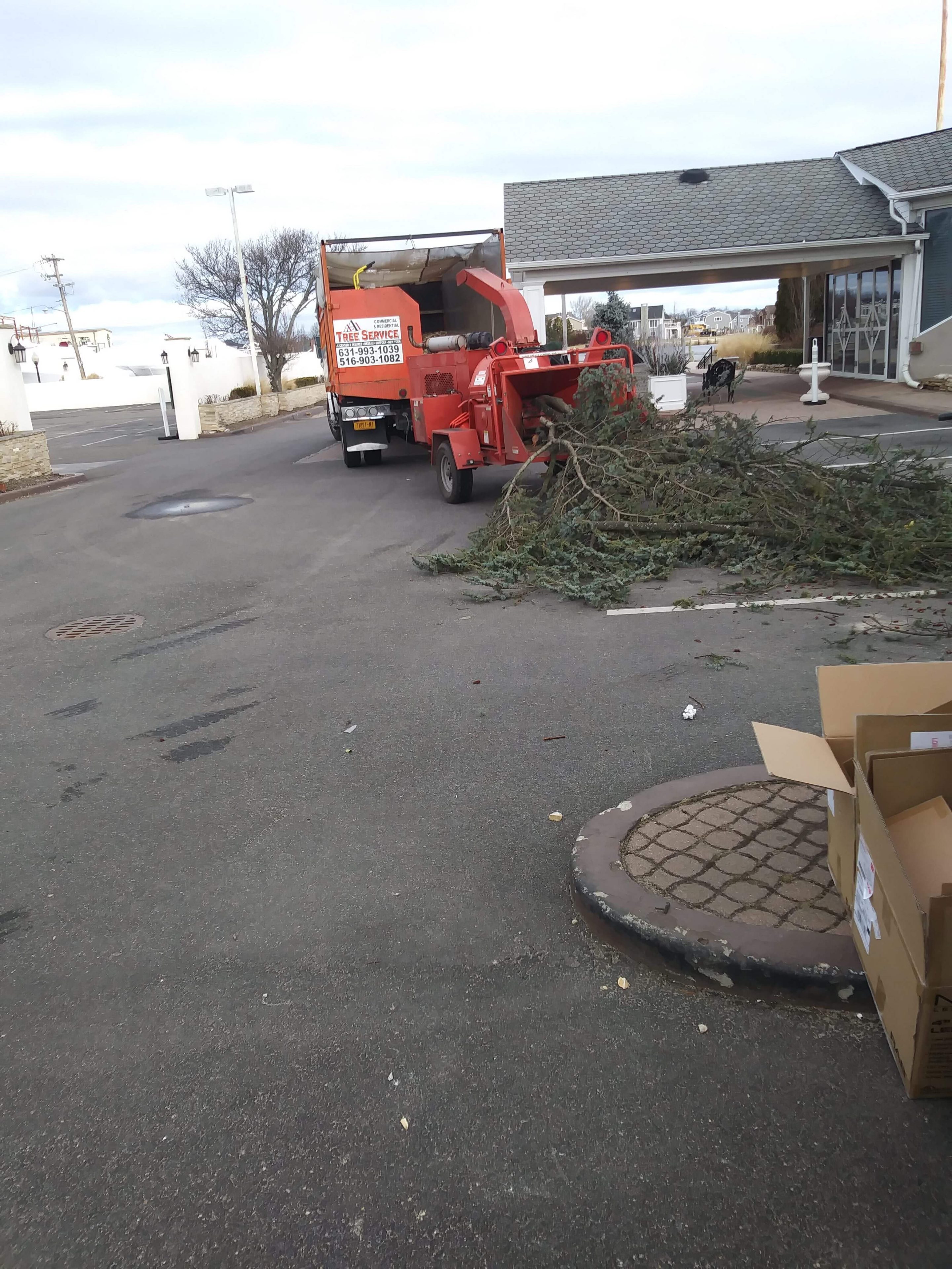 Tree Trimming near me - Tree Removal Services Nassau County NY-
