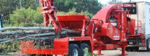 How much to cut tree down