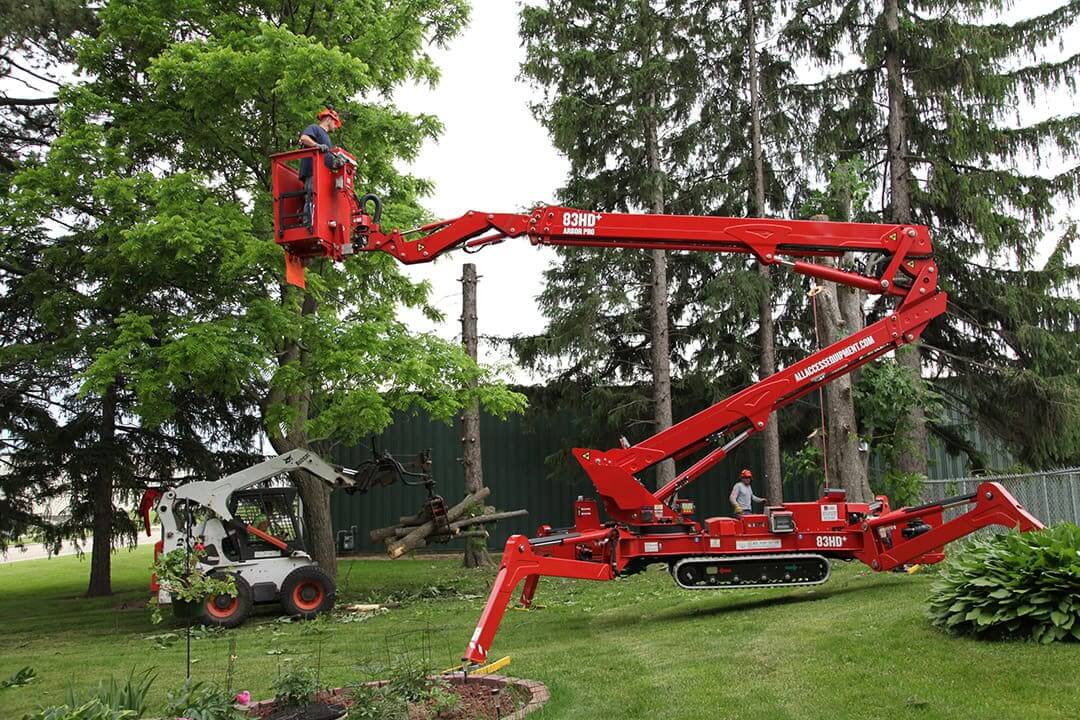 Tree Service Removal Nassau County Experts Long Island Tree Trimming