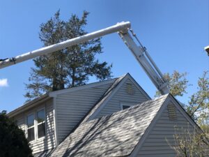 Tree Service estimate