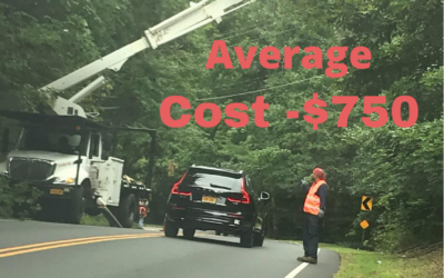Tree Trimming removal Service cost Jericho Nassau county