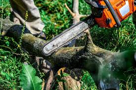 pruning