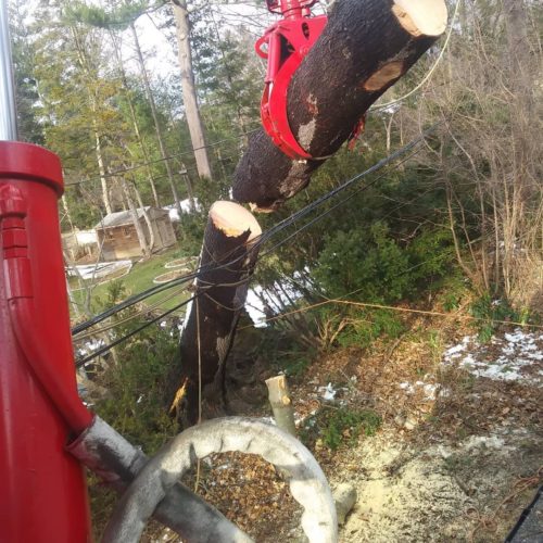 Whether you need a tree removal, pruning, or stump grinding, a certified arborist can help. All of these services are done with professional attention to detail. Able Tree Care is a reliable and experienced business, with over twenty years of experience.in Nassau county NY-AND along ISLAND 