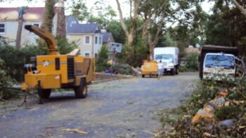 How Much Does it Cost to Get Land Cleared in New Jersey?