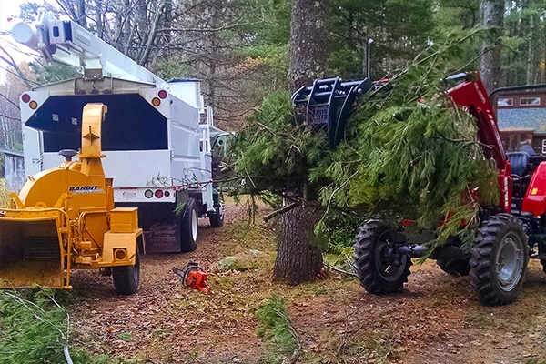 Hazard Tree Removal Orange County NY