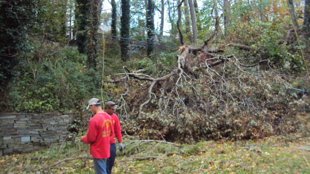 Priority on Safety Measures: Safety is our top priority at AAA Tree Service Removal. Our team follows strict safety measures during storm damage tree removal to protect your property and everyone involved. From assessing potential hazards to using proper equipment, we ensure a secure working environment.