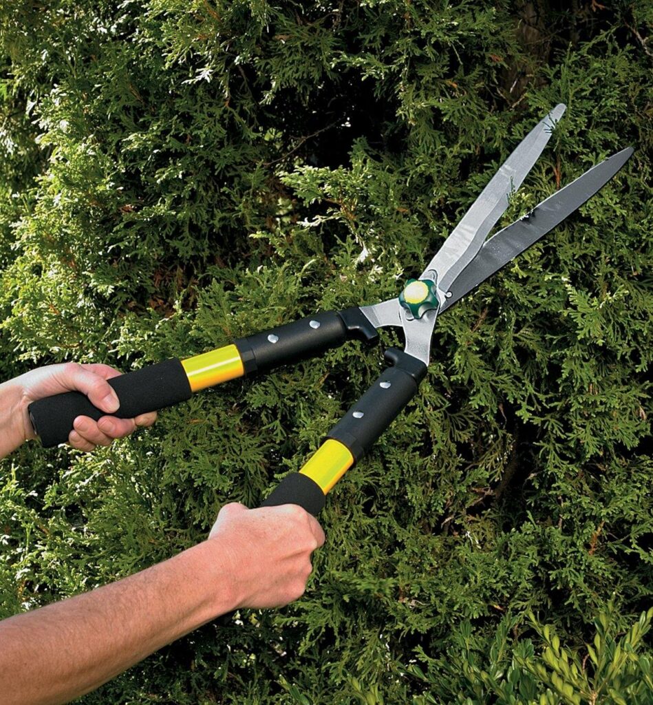 Hedge shear