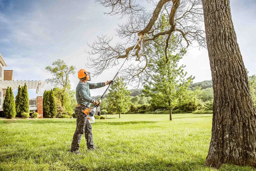 Pruning tools.
A man pruning a large tree with pruning tools.