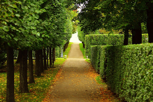 Science pruning
